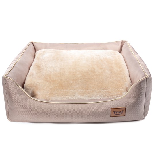 Изображение на странице