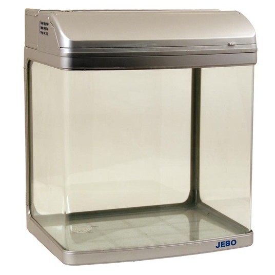 Изображение на странице