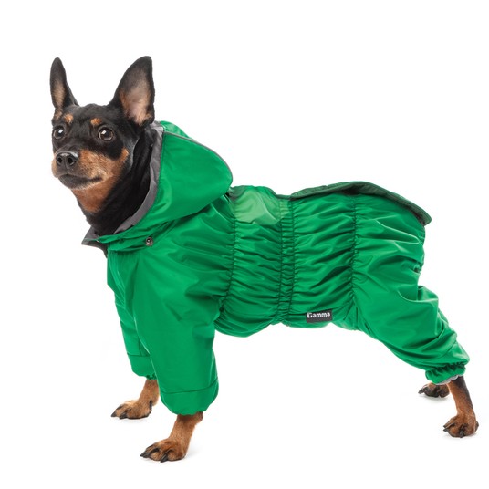 Изображение на странице