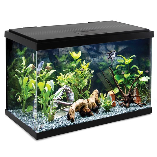 Изображение на странице