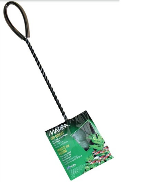 Изображение на странице