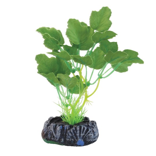 Изображение на странице