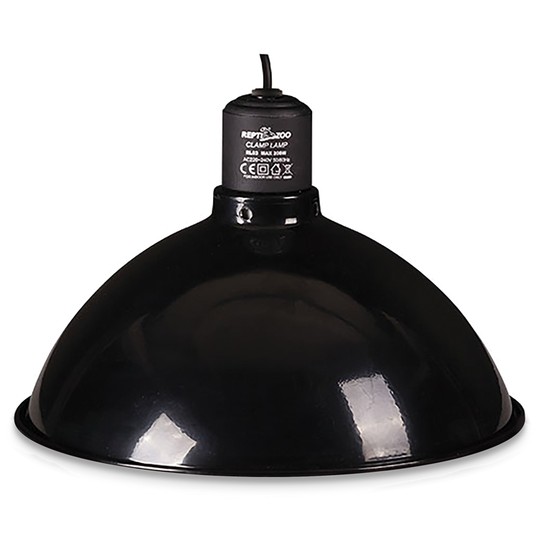 Изображение на странице