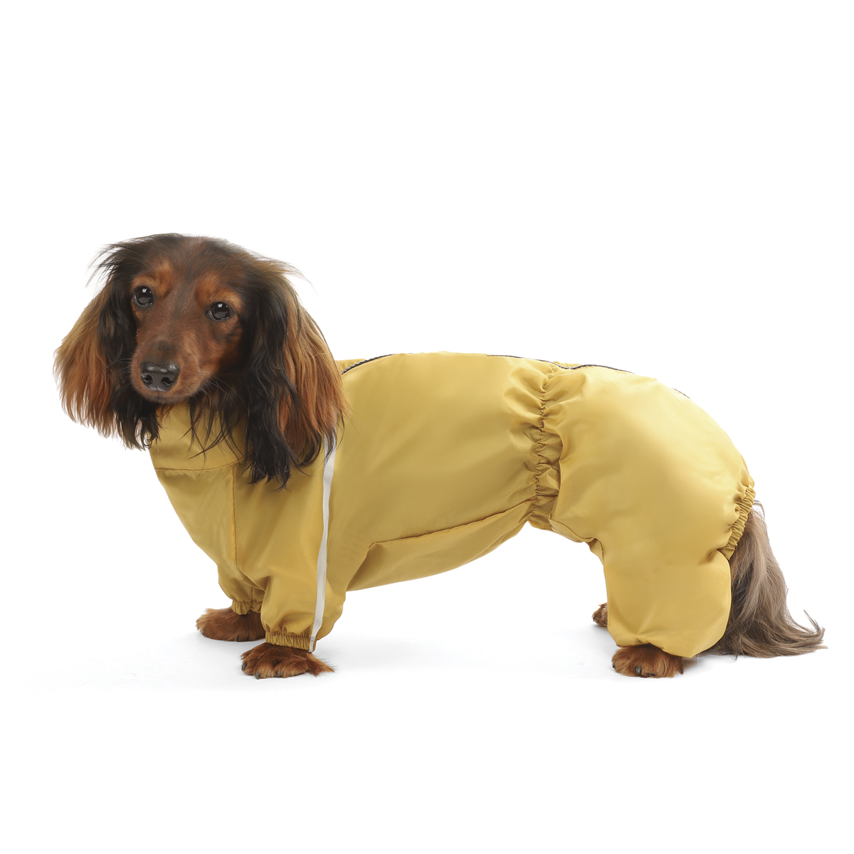 Изображение на странице