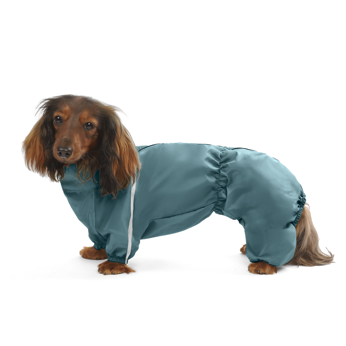 Изображение на странице