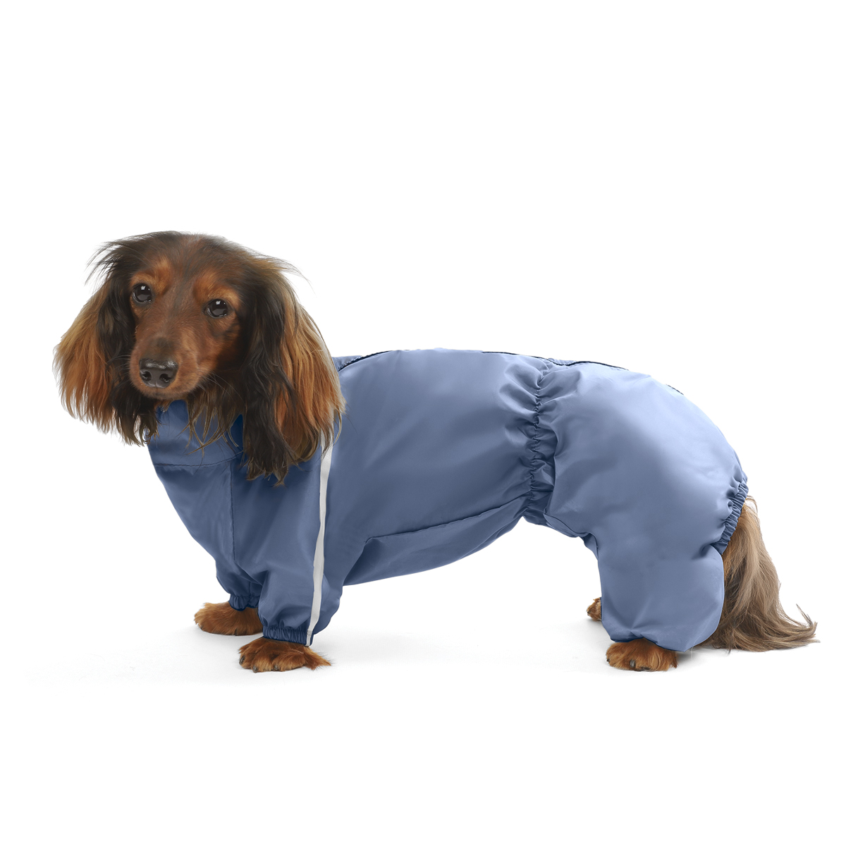 Изображение на странице