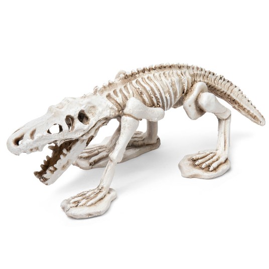 "Черепа" Грот "Ископаемый крокодил", 185*90*75мм