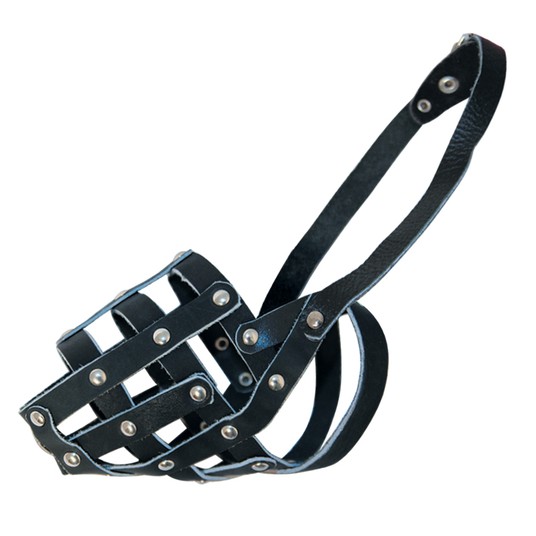 Изображение на странице