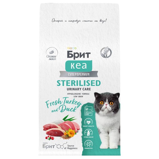 Изображение на странице