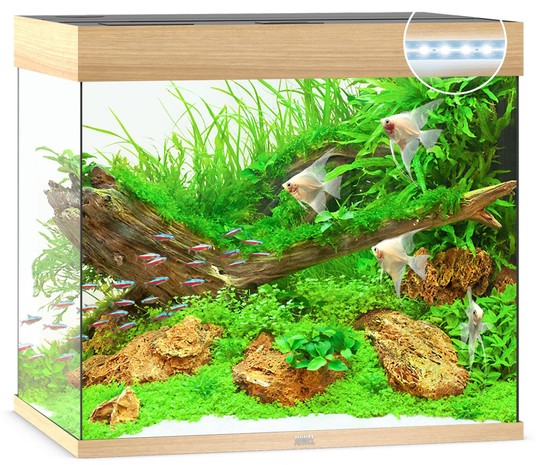 Изображение на странице