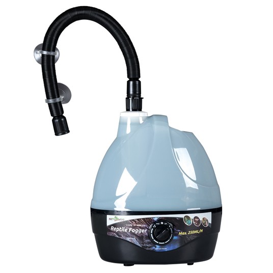 Изображение на странице