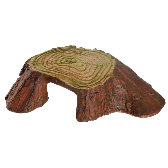 Изображение на странице