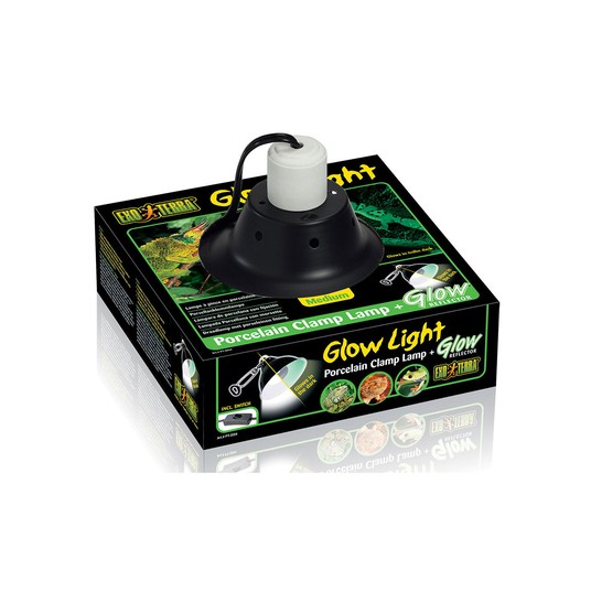 Изображение на странице