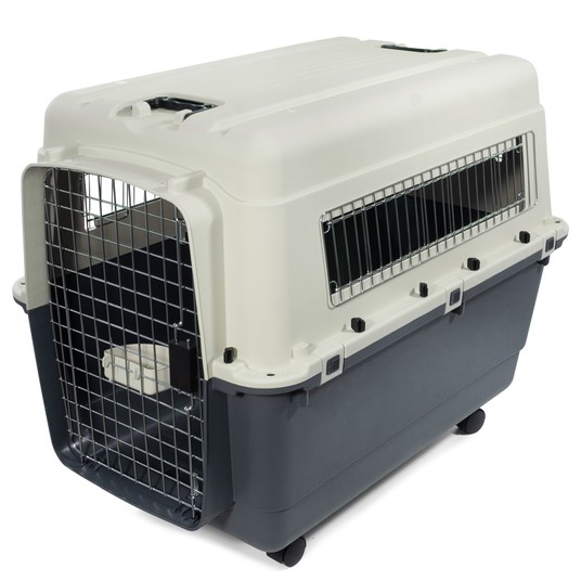 Изображение на странице