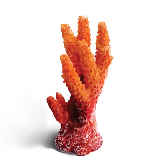 Изображение на странице