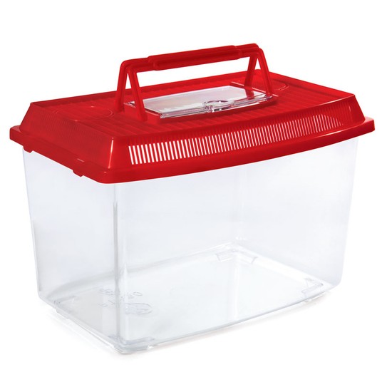 Изображение на странице