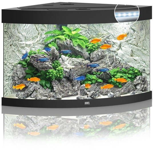 Изображение на странице