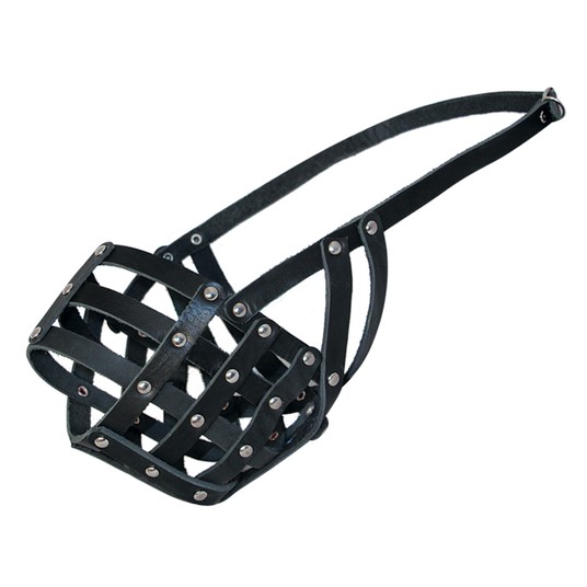 Изображение на странице