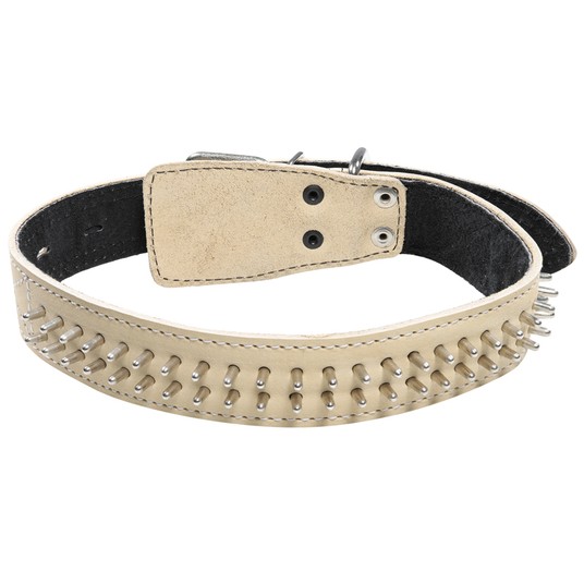 Изображение на странице