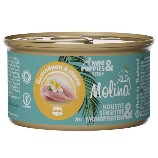 Изображение на странице