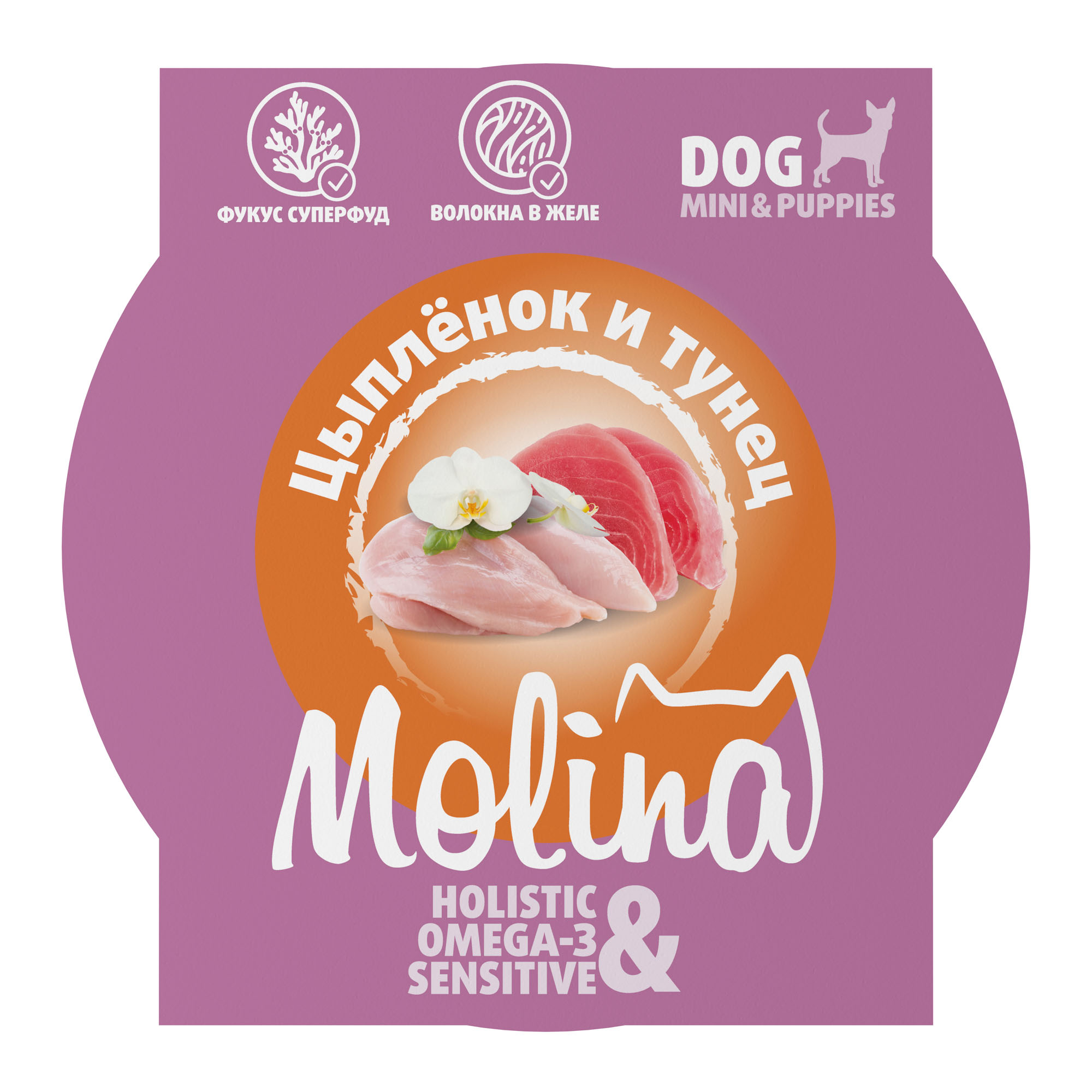 Изображение на странице