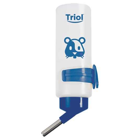 Изображение на странице