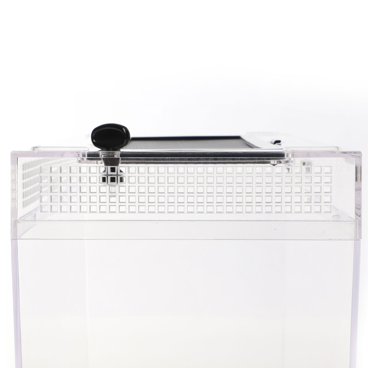 Изображение на странице