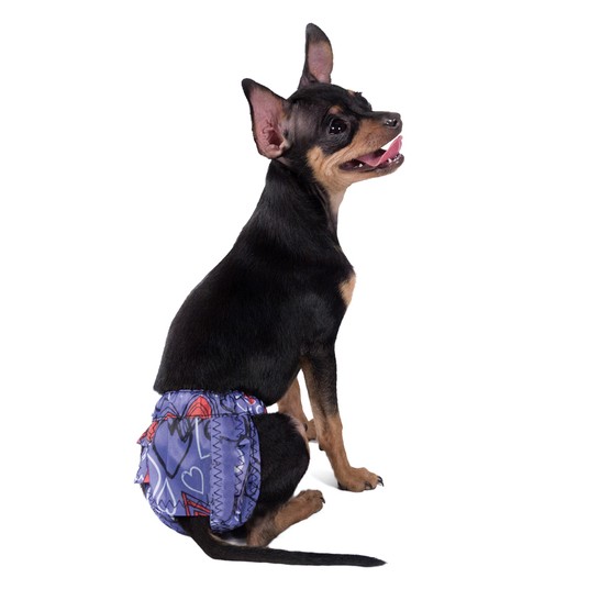 Изображение на странице