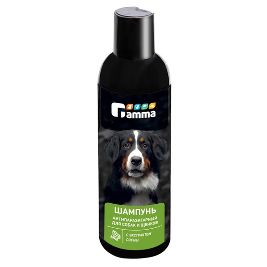 Изображение на странице