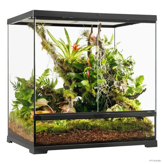 Изображение на странице