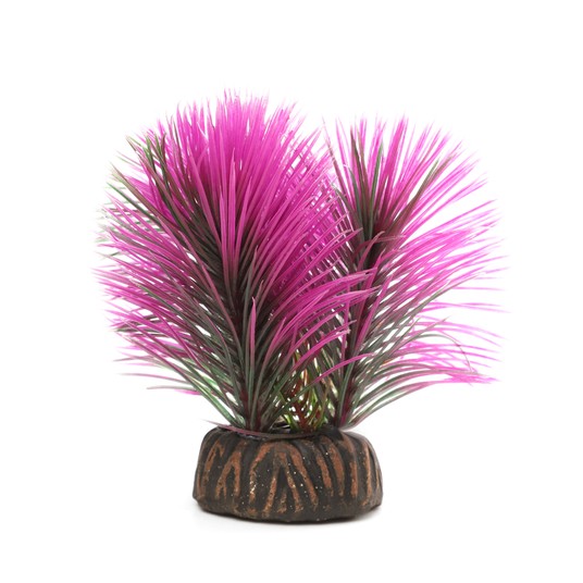 Изображение на странице