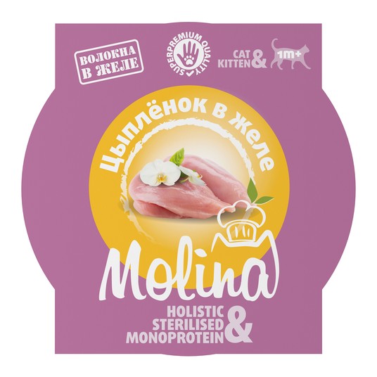 Изображение на странице