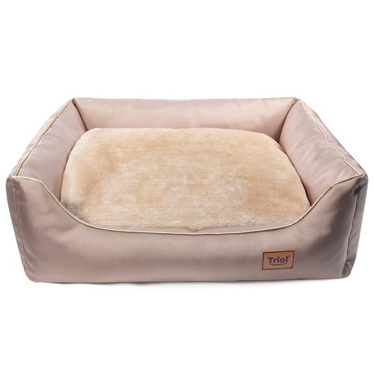 Изображение на странице