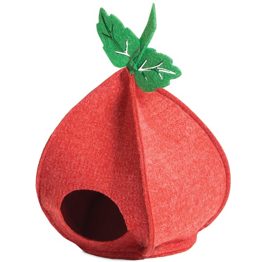 Изображение на странице