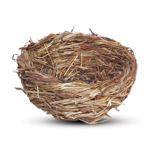 Изображение на странице