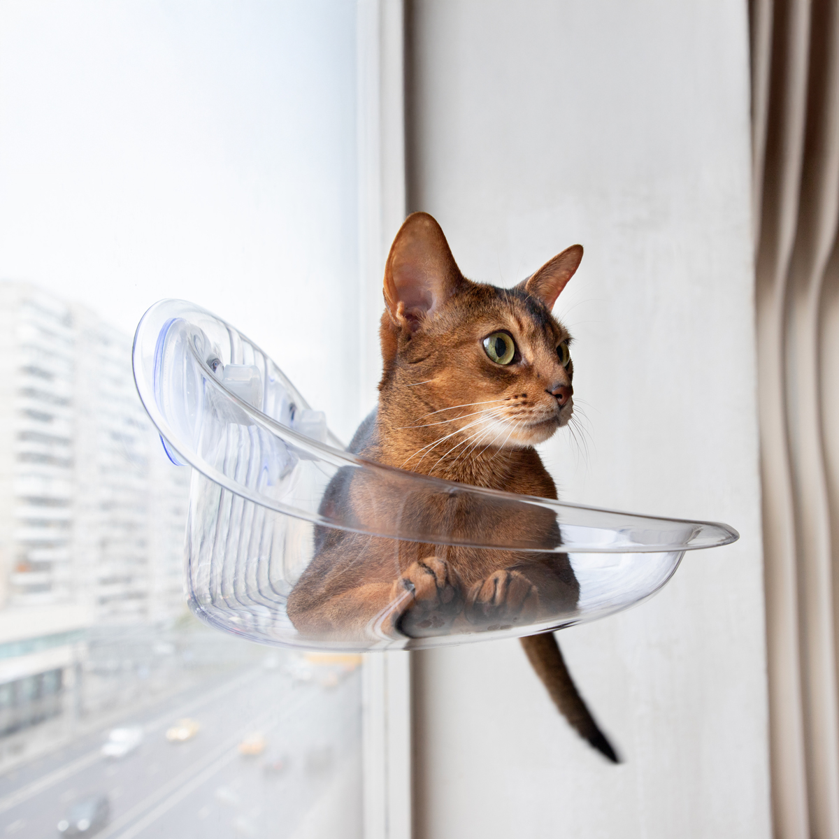 Изображение на странице