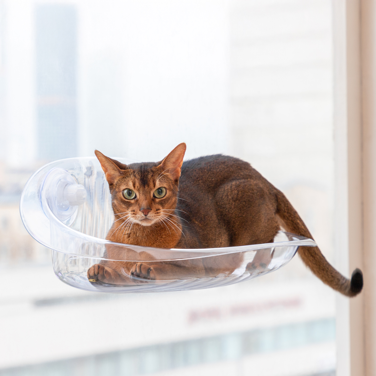 Изображение на странице