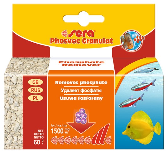 Изображение на странице