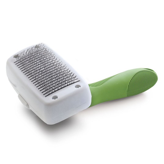 Изображение на странице