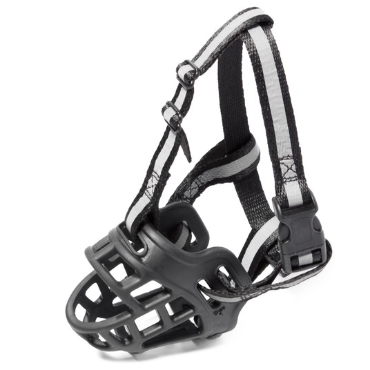 Изображение на странице