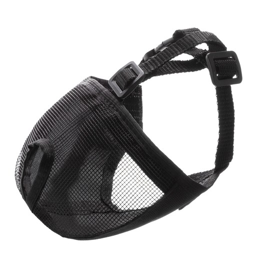 Изображение на странице