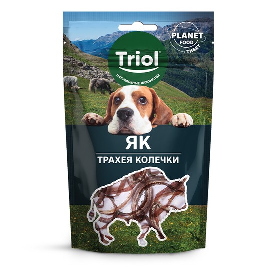 Изображение на странице