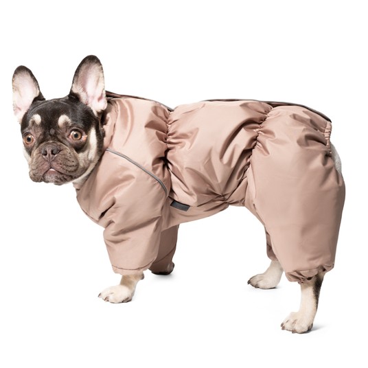 Изображение на странице