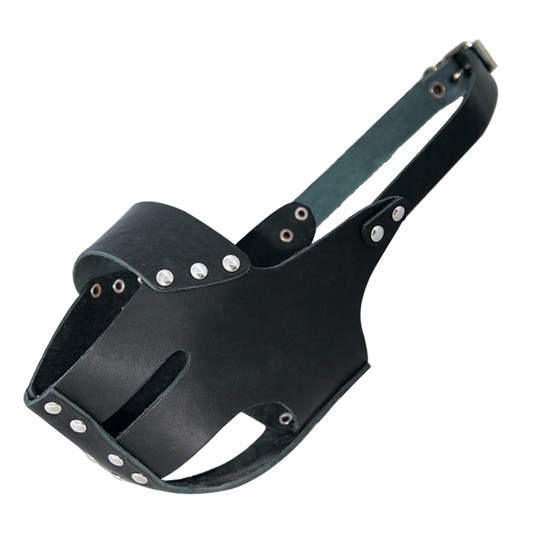 Изображение на странице