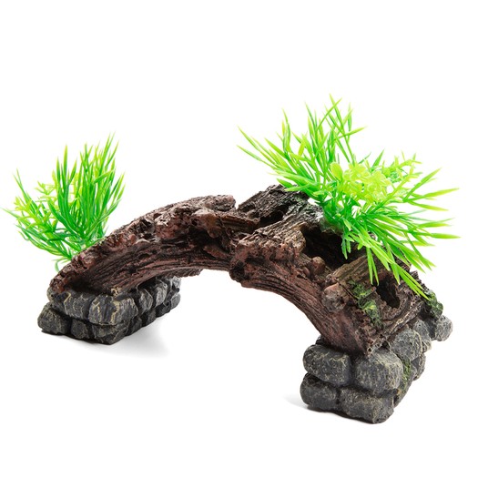 Изображение на странице