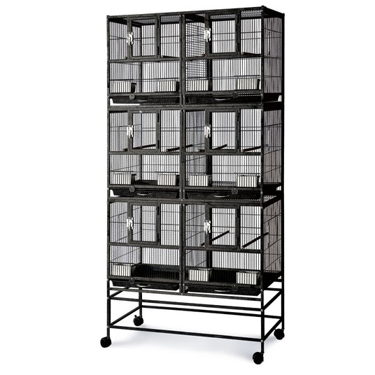 Изображение на странице