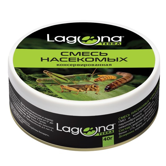 Изображение на странице