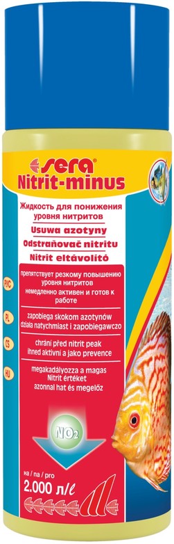 Изображение на странице