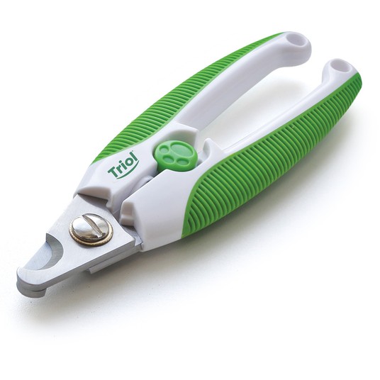 Изображение на странице