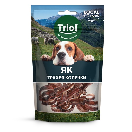 Изображение на странице